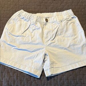 Chubbies Light Blue Shorts